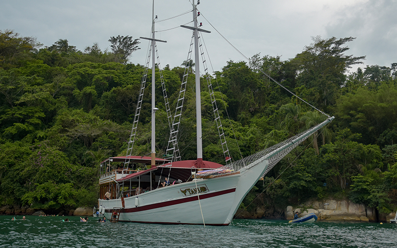 tan01
